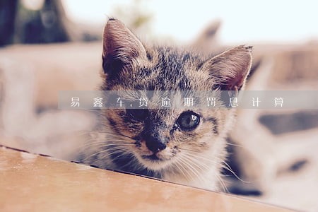 易鑫车贷逾期罚息计算 易鑫车贷逾期罚息计算