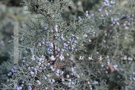 易鑫车贷逾期被告 易鑫车贷逾期被告