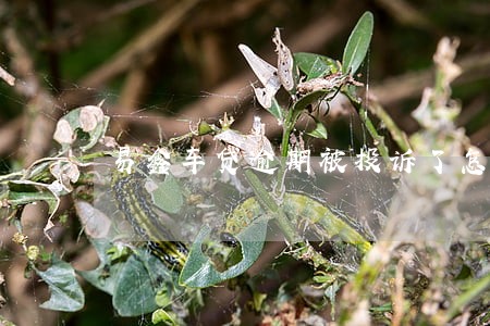 易鑫车贷逾期被投诉了怎么办 易鑫车贷逾期被投诉了怎么办