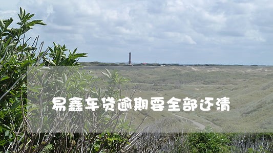 易鑫车贷逾期要全部还清 易鑫车贷逾期要全部还清