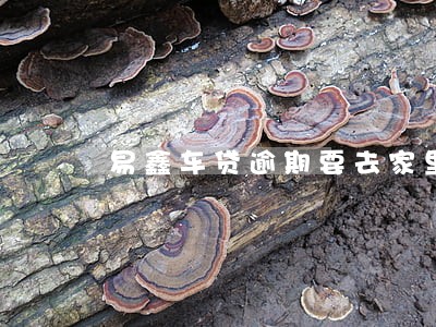 易鑫车贷逾期要去家里