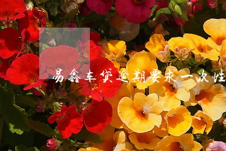 易鑫车贷逾期要求一次性偿还 易鑫车贷逾期要求一次性偿还
