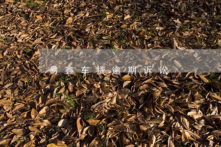 易鑫车贷逾期诉讼