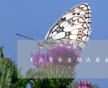 易鑫车贷逾期说要走访 易鑫车贷逾期说要走访