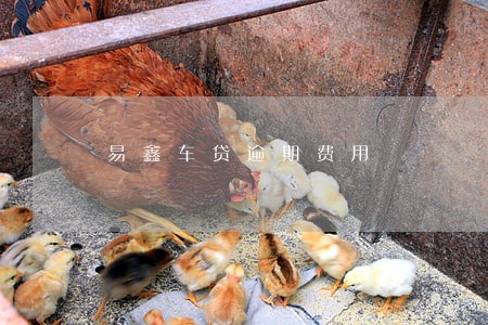 易鑫车贷逾期费用