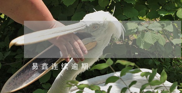易鑫连续逾期
