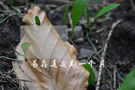 易鑫通逾期一个月