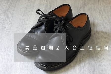 易鑫逾期2天会上征信吗