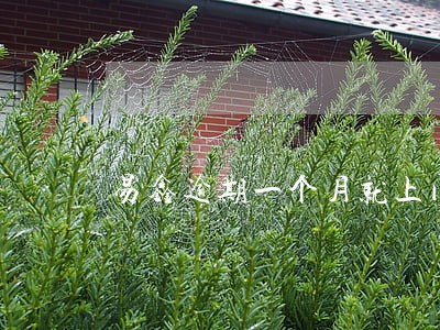 易鑫逾期一个月就上门 易鑫逾期一个月就上门