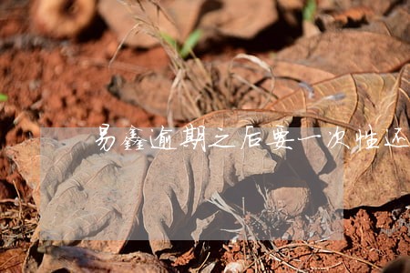 易鑫逾期之后要一次性还清 易鑫逾期之后要一次性还清