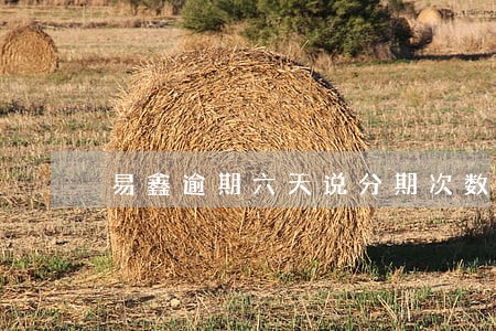 易鑫逾期六天说分期次数用完 易鑫逾期六天说分期次数用完