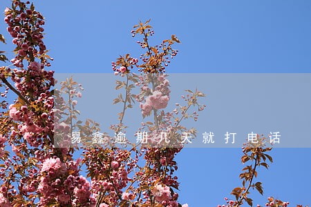 易鑫逾期几天就打电话 易鑫逾期几天就打电话