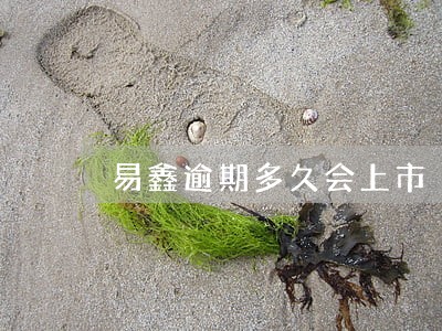 易鑫逾期多久会上市 易鑫逾期多久会上市