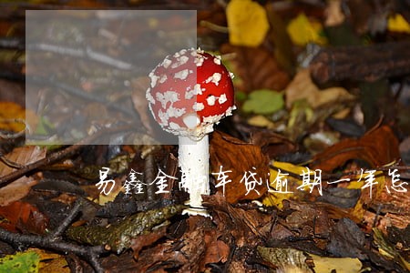 易鑫金融车贷逾期一年怎么办 易鑫金融车贷逾期一年怎么办