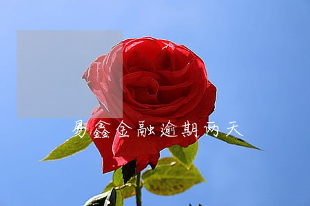 易鑫金融逾期两天 易鑫金融逾期两天