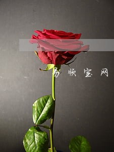 易顺宝网贷逾期了会怎么样 易顺宝网贷逾期了会怎么样