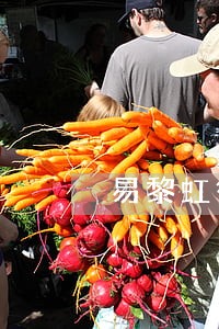 易黎虹律师咨询 易黎虹律师咨询