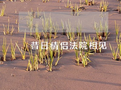 昔日情侣法院相见