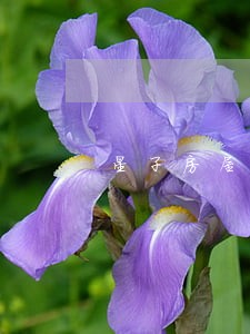 星子房屋损害赔偿纠纷律师