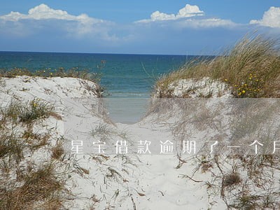 星宝借款逾期了一个月怎么办 星宝借款逾期了一个月怎么办