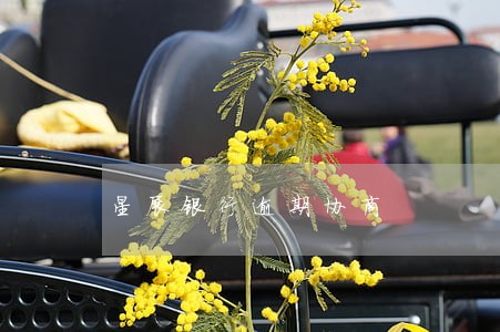 星展银行逾期协商 星展银行逾期协商