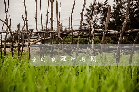 星时贷理财逾期 星时贷理财逾期