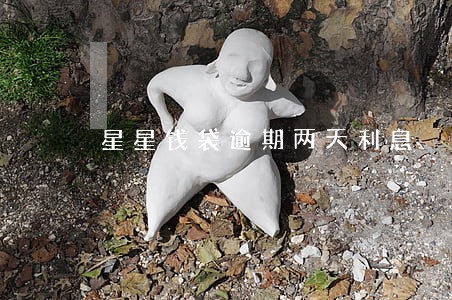 星星钱袋逾期两天利息 星星钱袋逾期两天利息