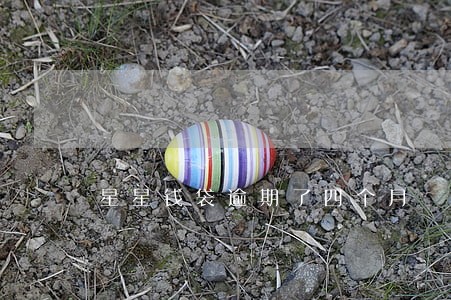 星星钱袋逾期了四个月 星星钱袋逾期了四个月