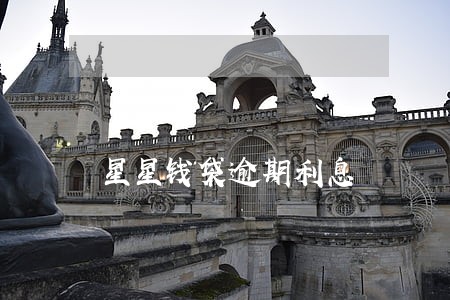 星星钱袋逾期利息 星星钱袋逾期利息