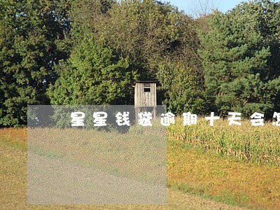 星星钱袋逾期十天会怎样