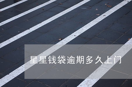 星星钱袋逾期多久上门