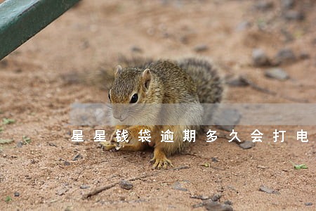 星星钱袋逾期多久会打电话