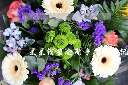 星星钱袋逾期多久爆通讯录