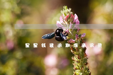 星星钱袋逾期爆通讯录