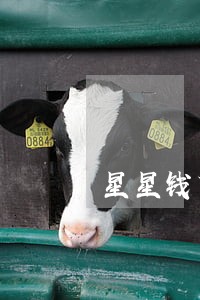 星星钱袋逾期超过30天 星星钱袋逾期超过30天