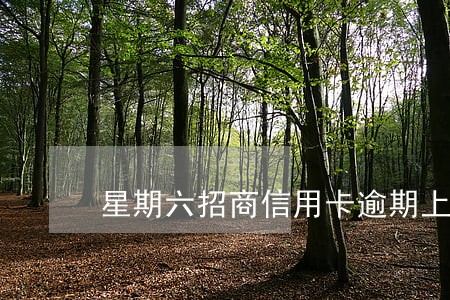 星期六招商信用卡逾期上班吗