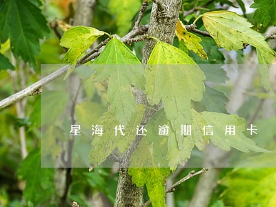 星海代还逾期信用卡