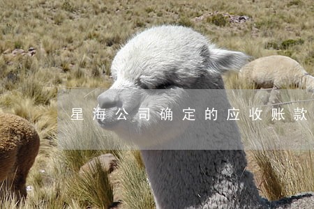 星海公司确定的应收账款逾期 星海公司确定的应收账款逾期