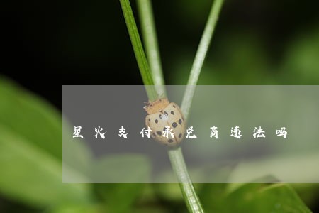 星火支付承兑商违法吗 星火支付承兑商违法吗