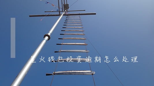 星火钱包投资逾期怎么处理 星火钱包投资逾期怎么处理