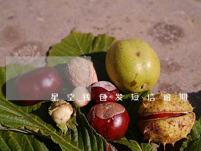 星空钱包发短信逾期 星空钱包发短信逾期