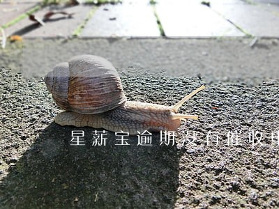 星薪宝逾期没有催收电话 星薪宝逾期没有催收电话