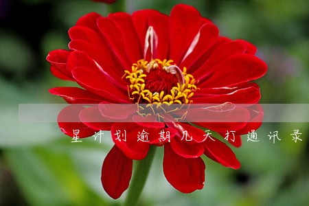 星计划逾期几天打通讯录 星计划逾期几天打通讯录