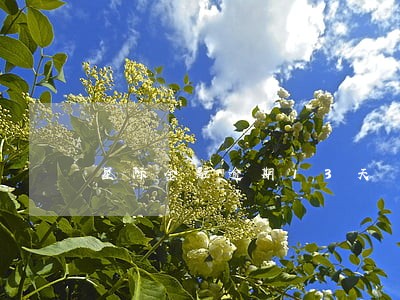 星际金融逾期13天 星际金融逾期13天