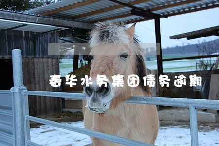 春华水务集团债务逾期
