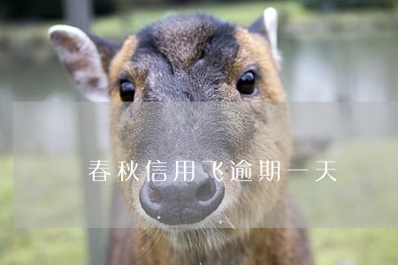 春秋信用飞逾期一天 春秋信用飞逾期一天