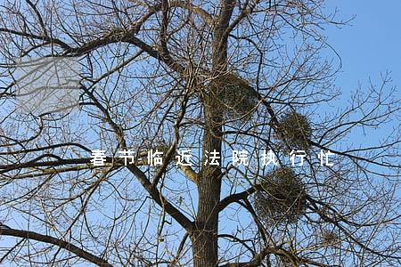 春节临近法院执行忙 春节临近法院执行忙