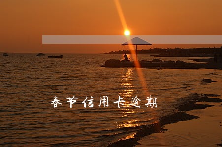 春节信用卡逾期 春节信用卡逾期