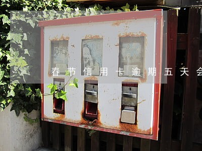 春节信用卡逾期五天会上征信吗 春节信用卡逾期五天会上征信吗