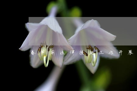 春节前法律援助工作开展